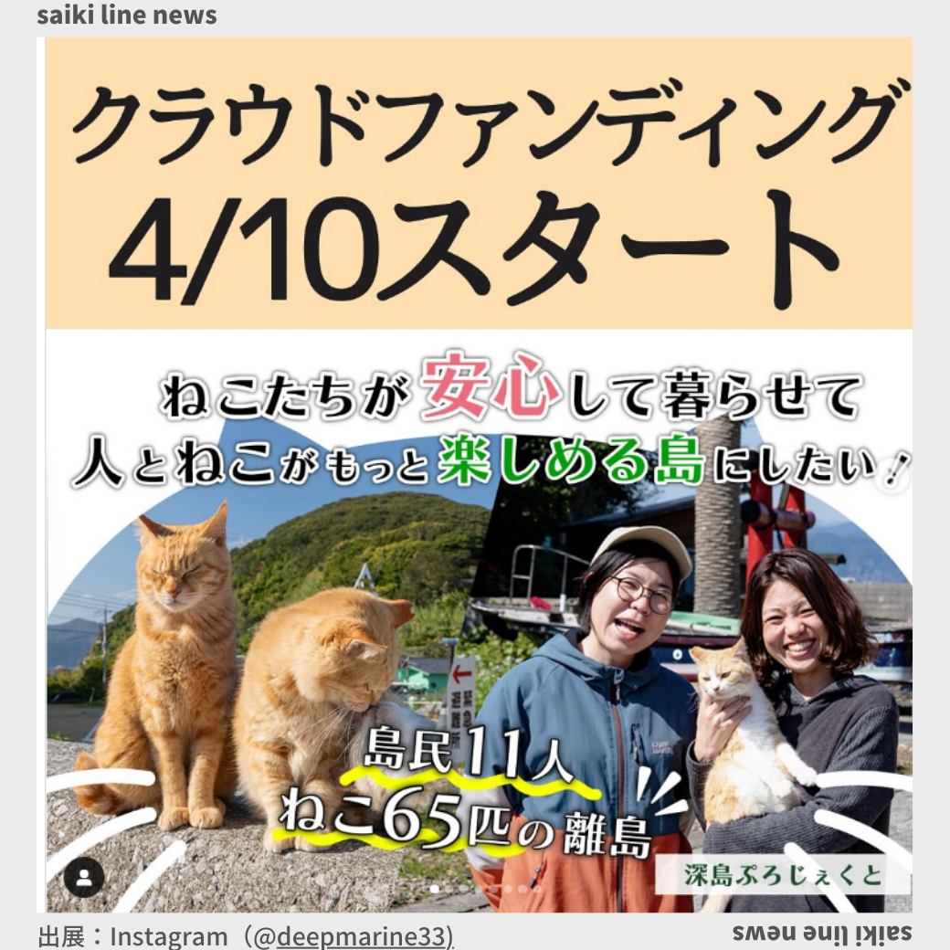 CF告知】深島ねこ図鑑vol.3 | さいきラインニュース